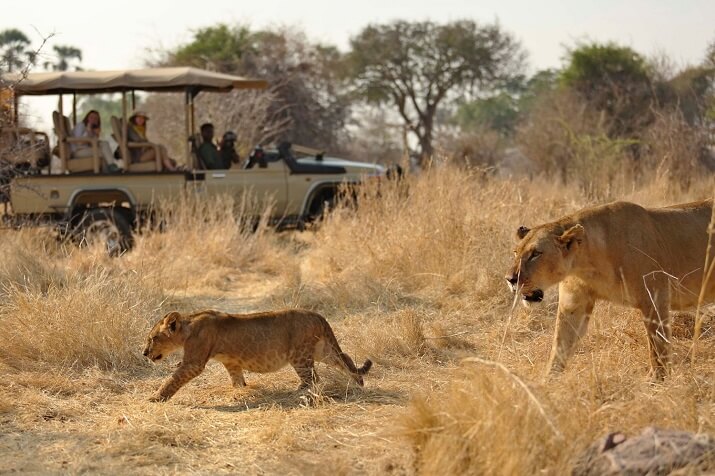 Game Drives Ultimate Adventure