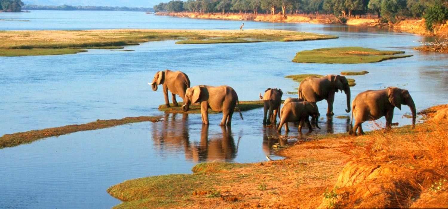 Mana Pools